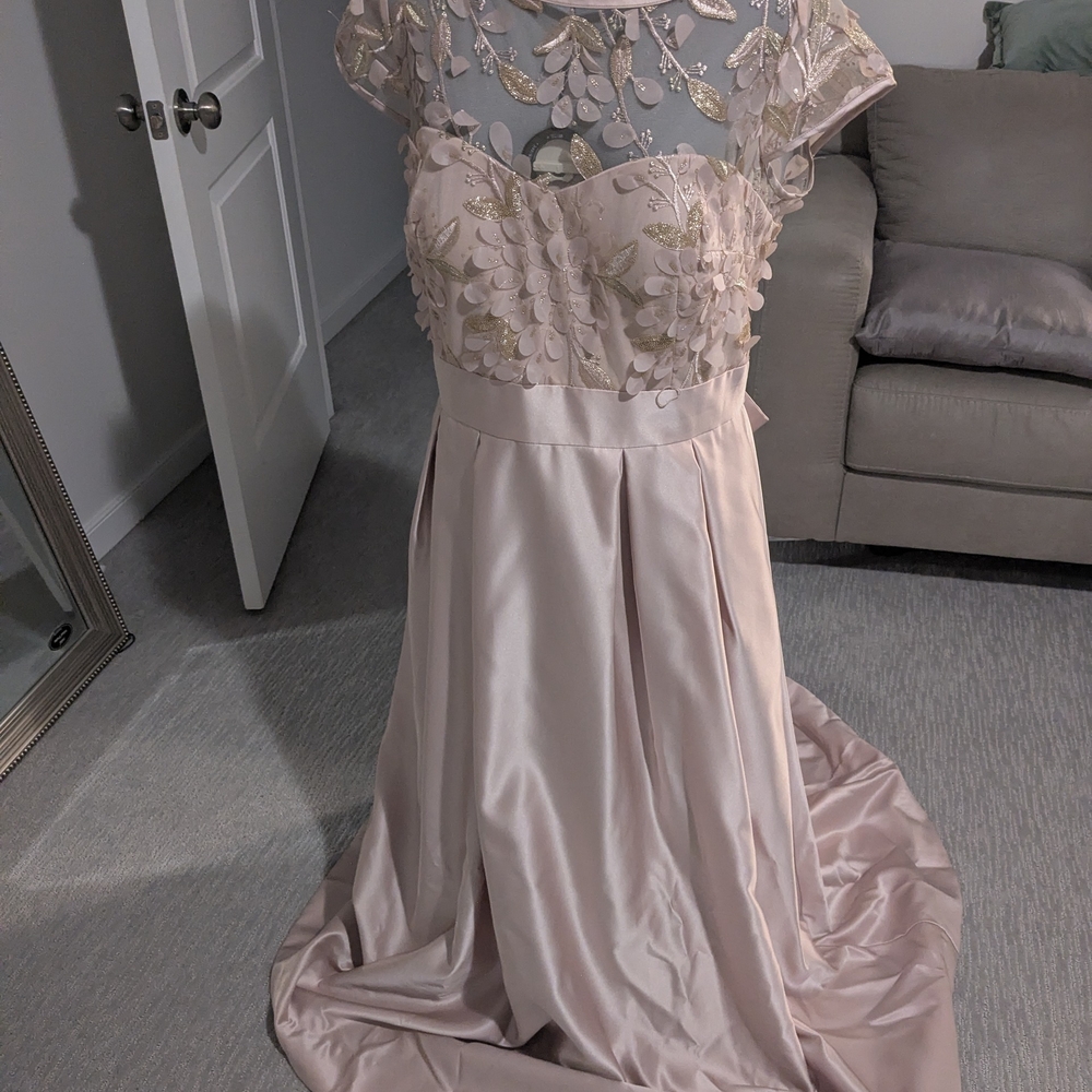 Xscape Blush Pink Dress with Floral Details